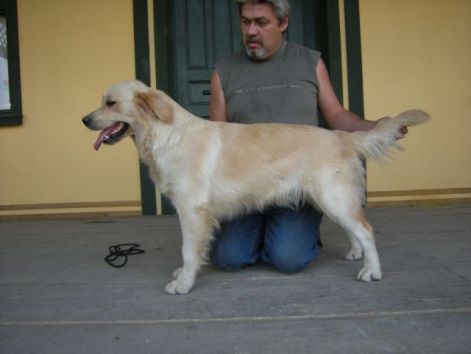 kep_350.jpg